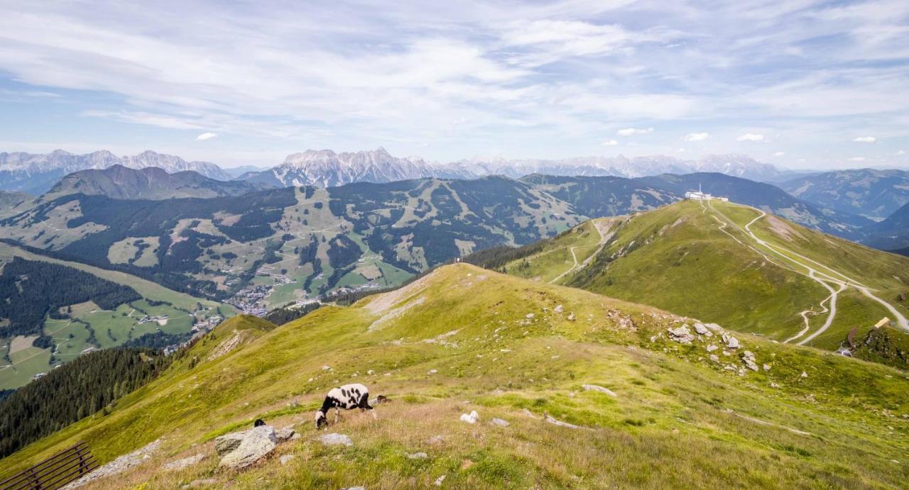 Chalet 3 Musketiers Viehhofen Zewnętrze zdjęcie